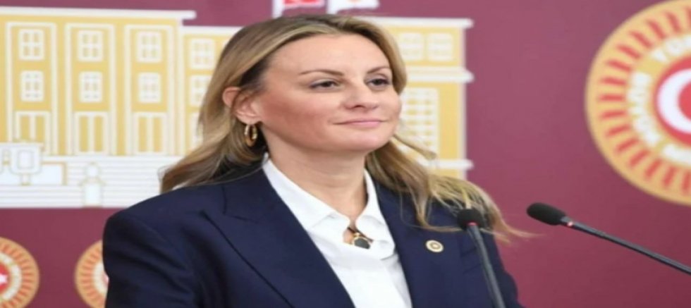 CHP İzmir Milletvekili Seda Kâya Ösen: Bunca hektar alanımızın küle dönmesinin sebebi ihmal mi? Yanan sadece ormanlar değil, İktidarın sorumluluk duygusu