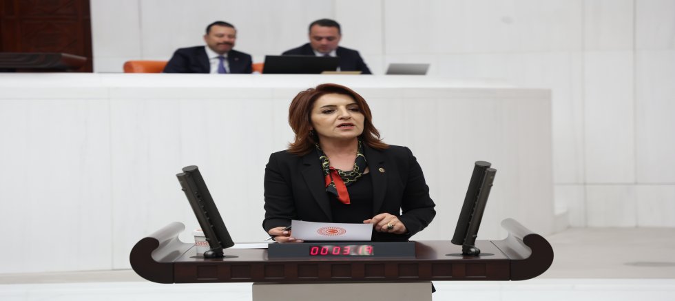Gülcan Kış Meclis’te iktidarı eleştirdi:  “Orman yoksa hayat yok, bu vurdumduymazlığa seyirci kalmayacağız!”