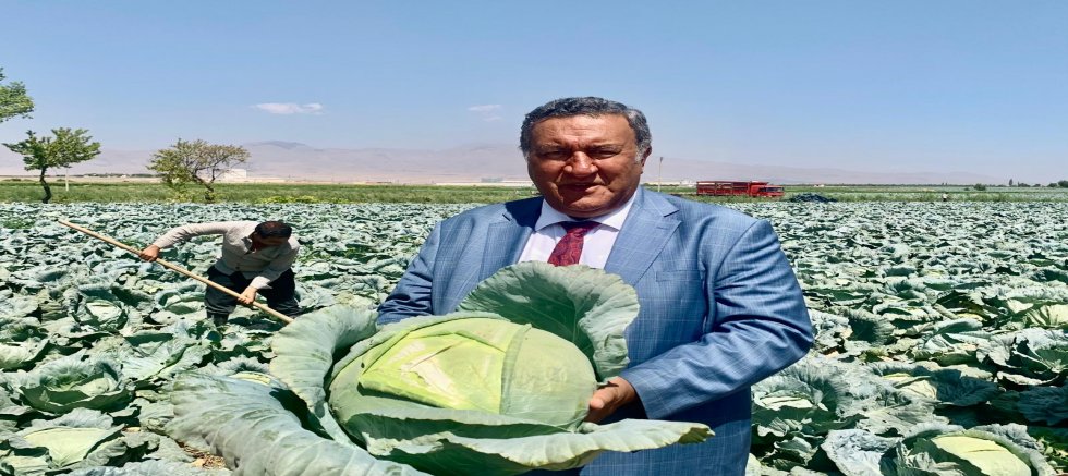 Gürer: “Lahanada Türkiye ikincisi olan Niğde’de çiftçi umutla bekliyor”