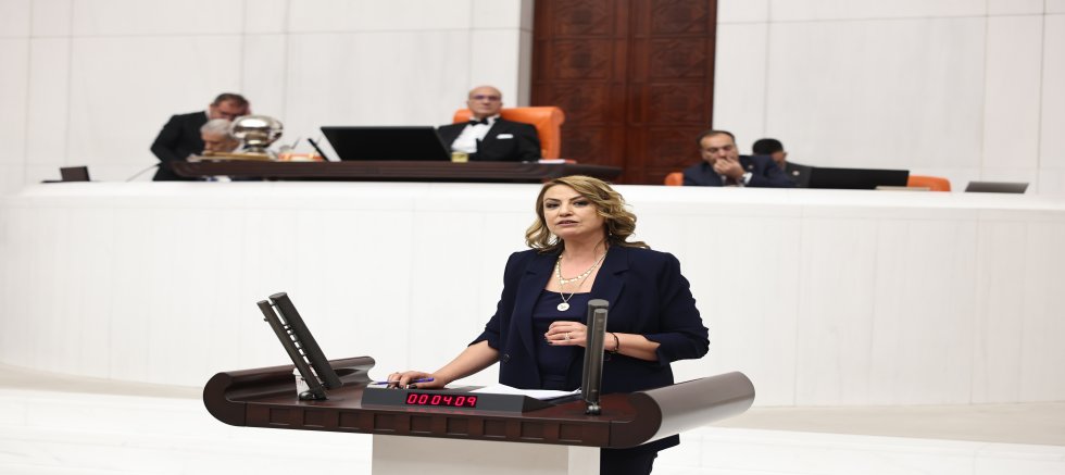 YILDIRIM KARA: BU KANUN BİR LABORATUVAR GİBİ HATAY’DA DENENMİŞTİR