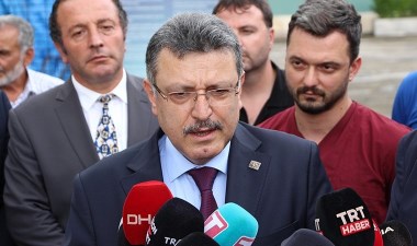 AKP Genel Başkan Yardımcısı hayvanseverleri hedef aldı: 'İt taparlar...' - Son Dakika Siyaset Haberleri | Cumhuriyet