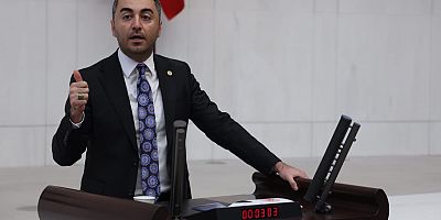 Asgari ücretin gıda harcamasına dahi yetmediğine dikkat çeken DEVA Partili Avşar; “Ara zam artık bir zorunluluktur.”