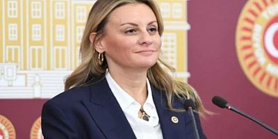CHP İzmir Milletvekili Seda Kâya Ösen: Bunca hektar alanımızın küle dönmesinin sebebi ihmal mi? Yanan sadece ormanlar değil, İktidarın sorumluluk duygusu