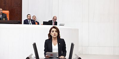 CHP’li Gülcan Kış: MEB’de Krizler Bitmiyor! 