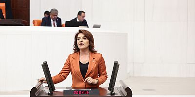 CHP’li Gülcan Kış: “Sözde İklim Yasası Türkiye’ye ve Mersin’e İhanettir”