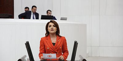CHP’Lİ GÜLCAN KIŞ: ‘UYARDIK, DİNLEMEDİNİZ!  ÜRETİM MISIR’A, İŞSİZLİK TÜRKİYE’YE TAŞINDI!’