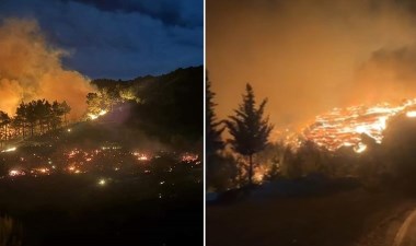 Dalaman'da orman yangını... Belediye başkanından ‘hava desteği’ çağrısı! - Son Dakika Türkiye Haberleri | Cumhuriyet