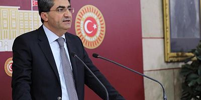 DEVA Partili Ekmen’den Batman Çayı’ndaki balık ölümleri için soru önergesi: “Son 10 yıl içinde Batman Çayı’nda kaç defa toplu balık ölümü yaşanmıştır?”