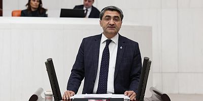 DEVA Partili Ekmen: Et ithalatı servet transferine dönüştü