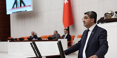 DEVA Partili Ekmen: Göksu Deltası için yangından koruma programı hayata geçirilmeli