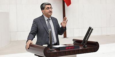 DEVA Partili Ekmen: Gülnar kuş üzümünün tescili, değerini artıracaktır