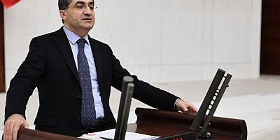 DEVA Partili Ekmen: Mersin’de devlet eliyle zeytin ağacı kesilmesi vahşettir