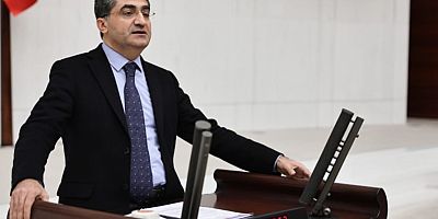 DEVA Partili Ekmen: Yerli muz üreticisi korunmalı, ithal muz vergisi güncellenmeli
