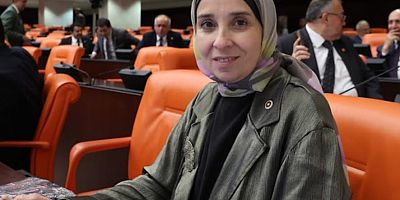 DEVA Partili Elif Esen: “Bu teklif bir İklim Kanunu değil, piyasa metnidir”
