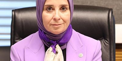 DEVA Partili Elif Esen, İçişleri Bakanı Yerlikaya’ya sordu: “Yerel yönetimlerde engelli haklarına dair somut bir yapı var mı?”