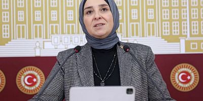DEVA Partili Esen’den kayıt dışı istihdama ve işsizlikte alarm zili açıklaması ve soru önergesi
