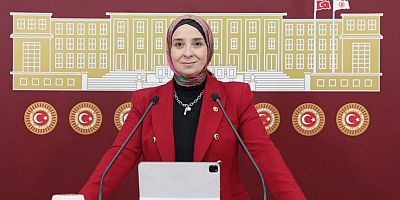 DEVA Partili Esen: “Engelli bireyler spor, eğitim ve emeklilikte eşitlik bekliyor”