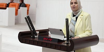 DEVA Partili Esen Suça Sürüklenen Çocuklar için çağrı yaptı, önerge reddedildi