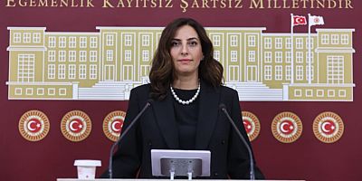 DEVA Partili İstanbul Milletvekili Evrim Rızvanoğlu’ndan orman yangınları eleştirileri 