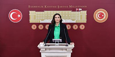 DEVA Partili İstanbul Milletvekili Rızvanoğlu: 