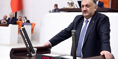DEVA Partili Karal: 8 emekli ikramiyesi 1 kurban hissesi