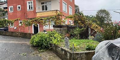 DEVA Partili Karal, Karadeniz’de evlerin bahçesindeki mezarlık konusunu gündeme getirdi: “Dedemin babasının mezarı bile 3 kez taşındı”