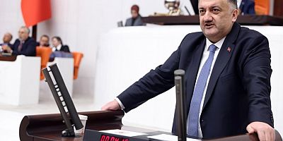 DEVA Partili Karal, organize suç örgütleri ve çocukların silahlandırılmasını Meclis gündemine taşıdı: “Bu çocukların ellerine ağır silahları kim veriyor? Neden buna engel olunamıyor?”