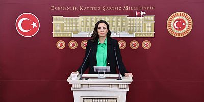 DEVA Partili Rızvanoğlu’ndan “süper izin” teklifi eleştirisi: “Türkiye'yi parsel parsel ruhsatlama teklifi”