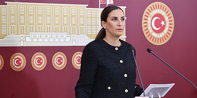 DEVA Partili Rızvanoğlu:  Sigortacılık sektörü iklim krizine bağlı artan afet risklerini ve bunun maliyetini yönetebilme kapasitesine sahip mi? 