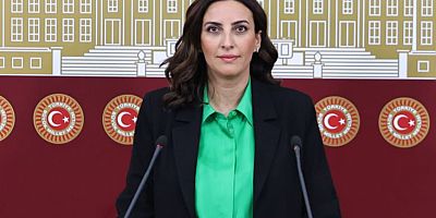 DEVA Partili Rızvanoğlu: “Tunca kuruyor, iktidar seyrediyor!”