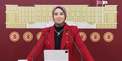 Doğum Yardımı Başvurularında Ciddi Sorunlar: Elif Esen’den Bakanlığa Soru Önergesi