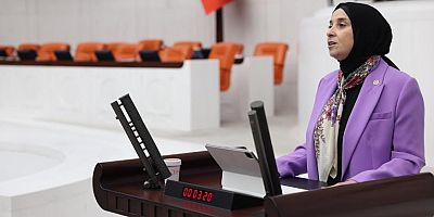 Elif Esen’den Bakanlığa soru önergesi: “Çocuklar hem mağdur hem fail konumunda”
