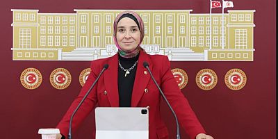 Elif Esen: “Koruyucu Aile Günü’nde çağrımızdır; çocuklar için aile temelli, hak temelli ve güvenli bir sistem kurulmalı”