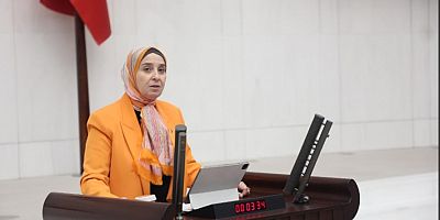 Elif Esen, TBMM Genel Kurulu’nda konuştu: 