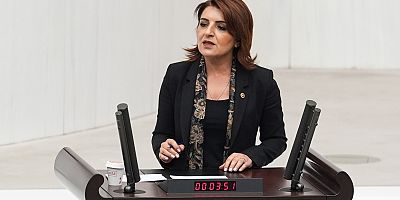 Gülcan Kış: “Sarayın saltanatına karşı halkın düzenini kuracağız”