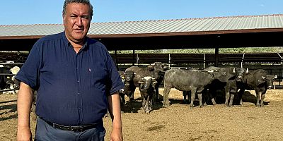 Gürer: “1960 yılında 1 milyon 600 bin olan manda sayısı 170 bine düştü”