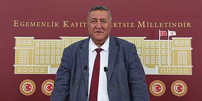 Gürer: “Çin Tuzu Yasaklansın”