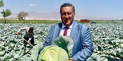 Gürer: “Lahanada Türkiye ikincisi olan Niğde’de çiftçi umutla bekliyor”