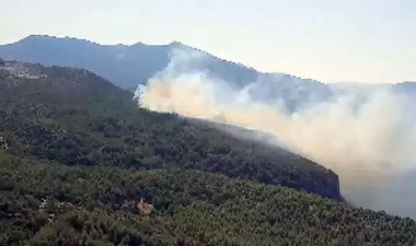 Muğla'da orman yangını - Son Dakika Türkiye Haberleri | Cumhuriyet