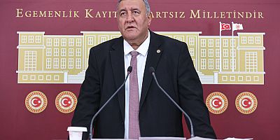 Ömer Fethi Gürer: “Hastalık Irak’tayken önlem alınmalıydı, 81 ilde hayvan pazarı kapanmazdı”