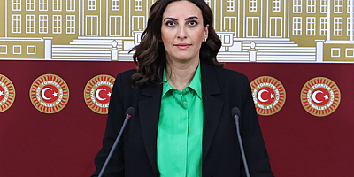 Rızvanoğlu’ndan Çatalca Uyarısı: “İstanbul’un Sigortası Kuzey Ormanları ve  Terkos Barajı Tehlikede”