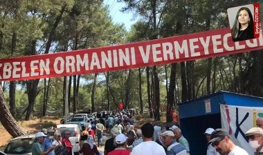 Termik santralın izinlerinin iptaline verilen ret, üst mahkemeden döndü: Akbelen için yeni umut