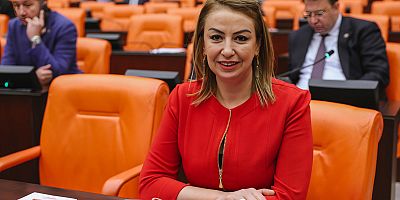 YILDIRIM KARA: İKTİDAR “BENİMLE AYNI ÇİZGİDE DEĞİLSEN DOĞAL GAZ YOK” DİYOR