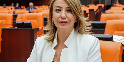 YILDIRIM KARA: RUHSAT VERİLME ORANI SADECE YÜZDE 5