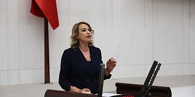 YILDIRIM KARA: SEKİZ YILDA 342 BİN HEKTAR ORMAN MADENCİLİĞE TAHSİS EDİLDİ