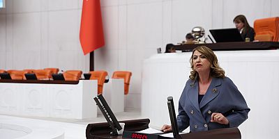 YILDIRIM KARA: VETERİNER HEKİMLERİN EŞİTLİK TALEBİ GÖRMEZDEN GELİNİYOR 